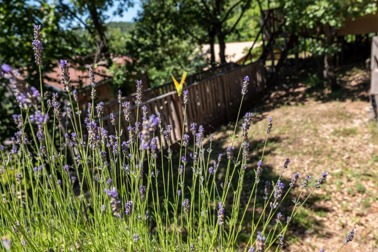 Domaine De Chalveches Hotel Spa 4* Faugeres  Εξωτερικό φωτογραφία